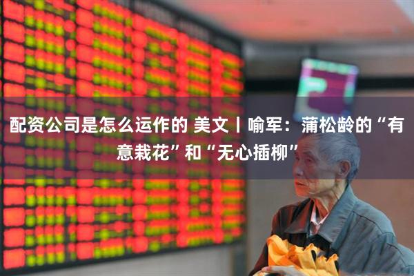 配资公司是怎么运作的 美文丨喻军：蒲松龄的“有意栽花”和“无心插柳”