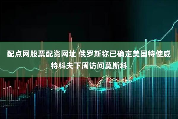 配点网股票配资网址 俄罗斯称已确定美国特使威特科夫下周访问莫斯科